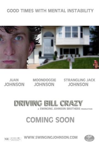 Driving Bill Crazy Gnome